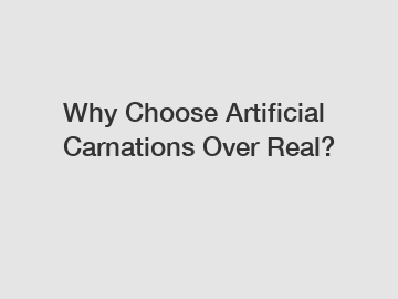 Why Choose Artificial Carnations Over Real? Why Choose Artificial Carnations Over Real?