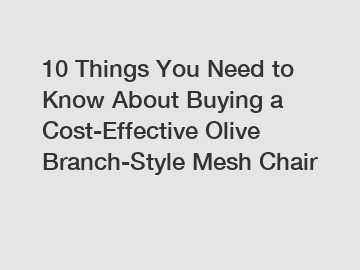 10 Things You Need to Know About Buying a Cost-Effective Olive Branch-Style Mesh Chair