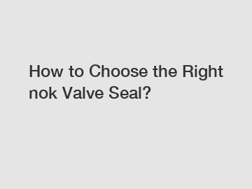 How to Choose the Right nok Valve Seal?
