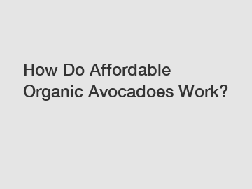 How Do Affordable Organic Avocadoes Work?