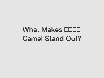 What Makes شركة Camel Stand Out?