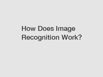 How Does Image Recognition Work?