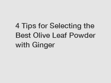 4 Tips for Selecting the Best Olive Leaf Powder with Ginger