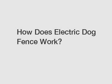 How Does Electric Dog Fence Work?