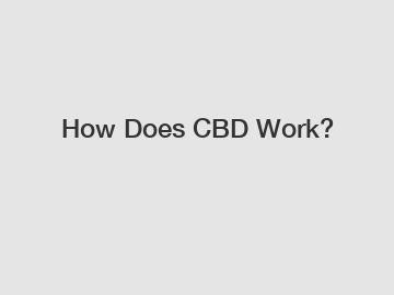 How Does CBD Work?