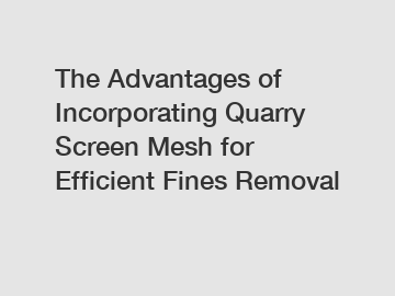The Advantages of Incorporating Quarry Screen Mesh for Efficient Fines Removal