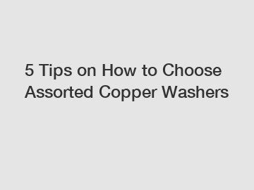 5 Tips on How to Choose Assorted Copper Washers