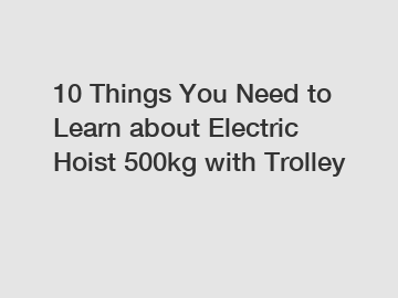 10 Things You Need to Learn about Electric Hoist 500kg with Trolley