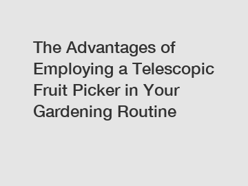 The Advantages of Employing a Telescopic Fruit Picker in Your Gardening Routine