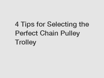 4 Tips for Selecting the Perfect Chain Pulley Trolley