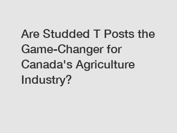 Are Studded T Posts the Game-Changer for Canada's Agriculture Industry?