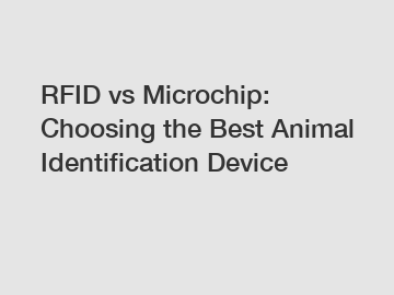 RFID vs Microchip: Choosing the Best Animal Identification Device
