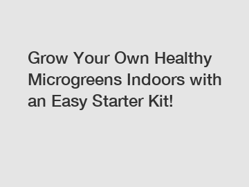 Grow Your Own Healthy Microgreens Indoors with an Easy Starter Kit!