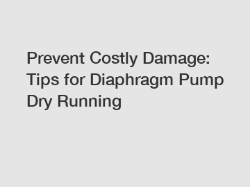 Prevent Costly Damage: Tips for Diaphragm Pump Dry Running