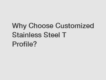 Why Choose Customized Stainless Steel T Profile?