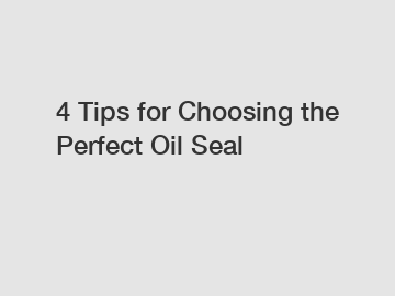 4 Tips for Choosing the Perfect Oil Seal