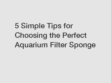 5 Simple Tips for Choosing the Perfect Aquarium Filter Sponge