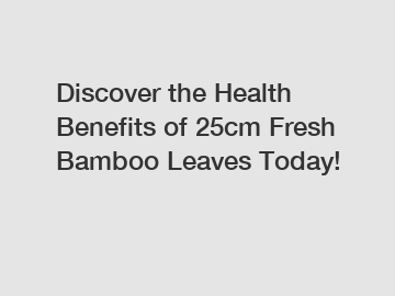 Discover the Health Benefits of 25cm Fresh Bamboo Leaves Today!