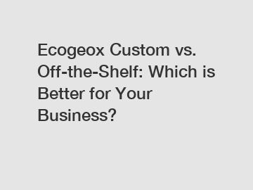 Ecogeox Custom vs. Off-the-Shelf: Which is Better for Your Business?