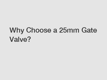 Why Choose a 25mm Gate Valve?