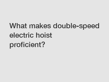 What makes double-speed electric hoist proficient?
