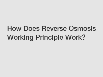 How Does Reverse Osmosis Working Principle Work?