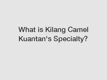 What is Kilang Camel Kuantan's Specialty?