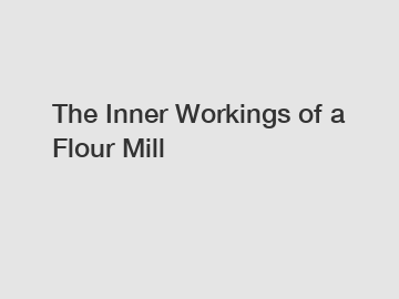 The Inner Workings of a Flour Mill