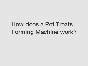 How does a Pet Treats Forming Machine work?