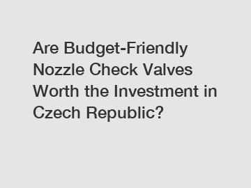 Are Budget-Friendly Nozzle Check Valves Worth the Investment in Czech Republic?