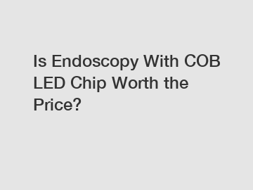 Is Endoscopy With COB LED Chip Worth the Price?