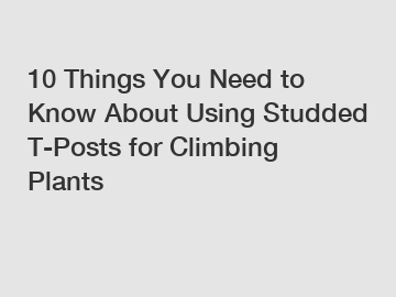 10 Things You Need to Know About Using Studded T-Posts for Climbing Plants