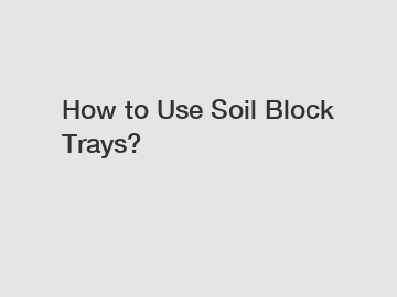 How to Use Soil Block Trays?