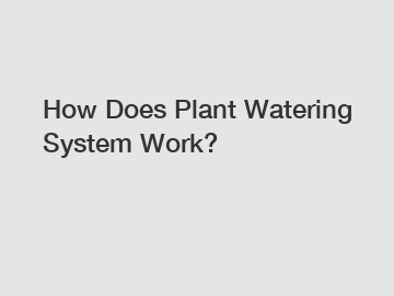 How Does Plant Watering System Work?