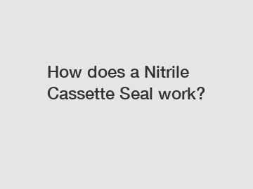 How does a Nitrile Cassette Seal work?