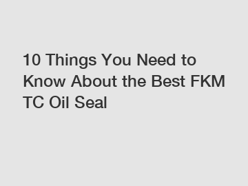 10 Things You Need to Know About the Best FKM TC Oil Seal