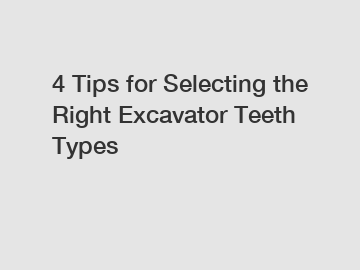 4 Tips for Selecting the Right Excavator Teeth Types