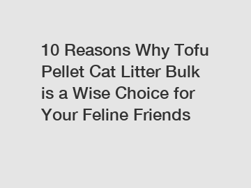 10 Reasons Why Tofu Pellet Cat Litter Bulk is a Wise Choice for Your Feline Friends
