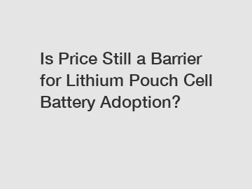 Is Price Still a Barrier for Lithium Pouch Cell Battery Adoption?