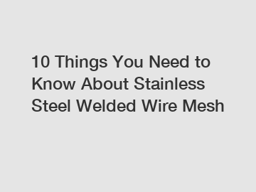 10 Things You Need to Know About Stainless Steel Welded Wire Mesh