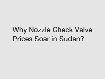 Why Nozzle Check Valve Prices Soar in Sudan?