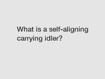 What is a self-aligning carrying idler?