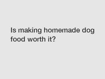 Is making homemade dog food worth it?