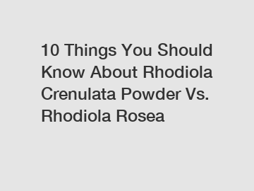 10 Things You Should Know About Rhodiola Crenulata Powder Vs. Rhodiola Rosea