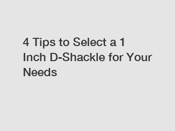 4 Tips to Select a 1 Inch D-Shackle for Your Needs