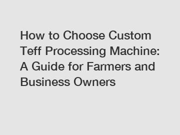 How to Choose Custom Teff Processing Machine: A Guide for Farmers and Business Owners