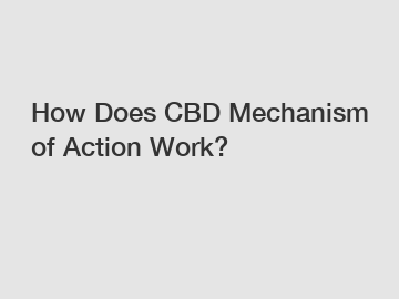 How Does CBD Mechanism of Action Work?