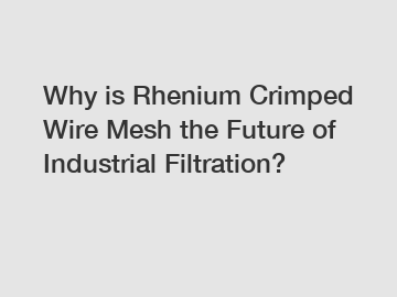 Why is Rhenium Crimped Wire Mesh the Future of Industrial Filtration?
