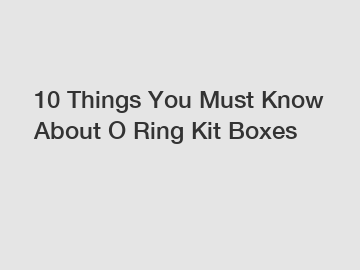 10 Things You Must Know About O Ring Kit Boxes