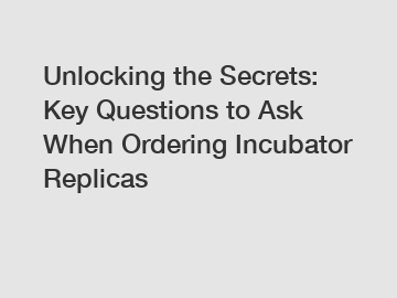 Unlocking the Secrets: Key Questions to Ask When Ordering Incubator Replicas